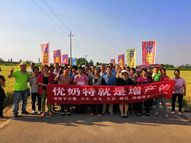 優(yōu)奶特現(xiàn)場(chǎng)測(cè)產(chǎn)觀(guān)摩會(huì)(圖4)