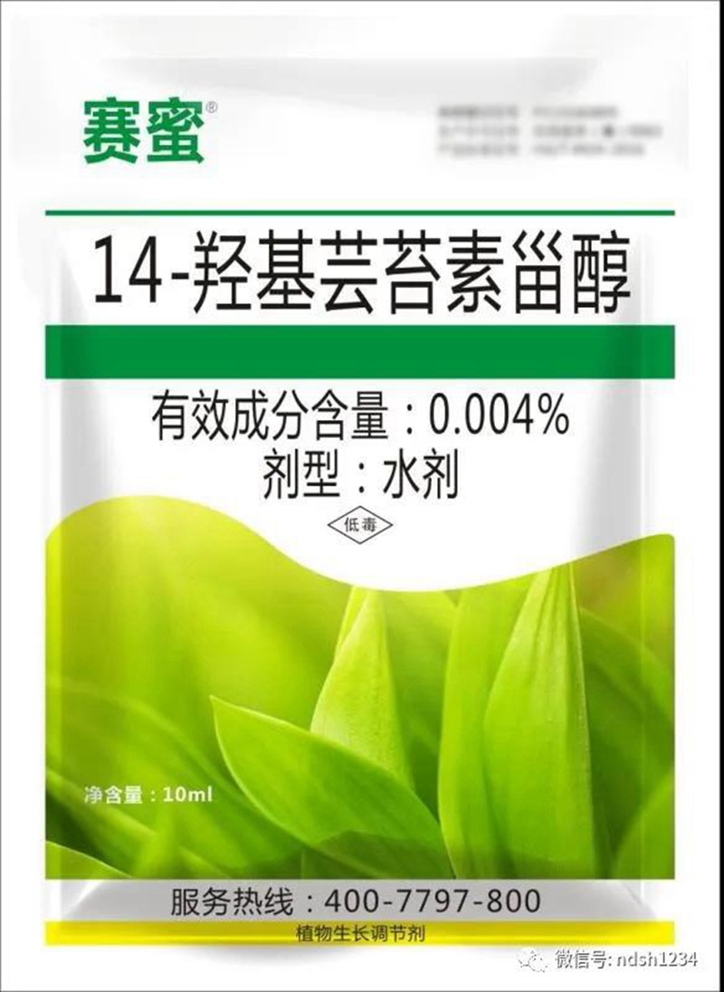 我公司參加澠池縣花椒春季管理與病蟲(chóng)害防治技術(shù)培訓(xùn)會(huì)(圖4)