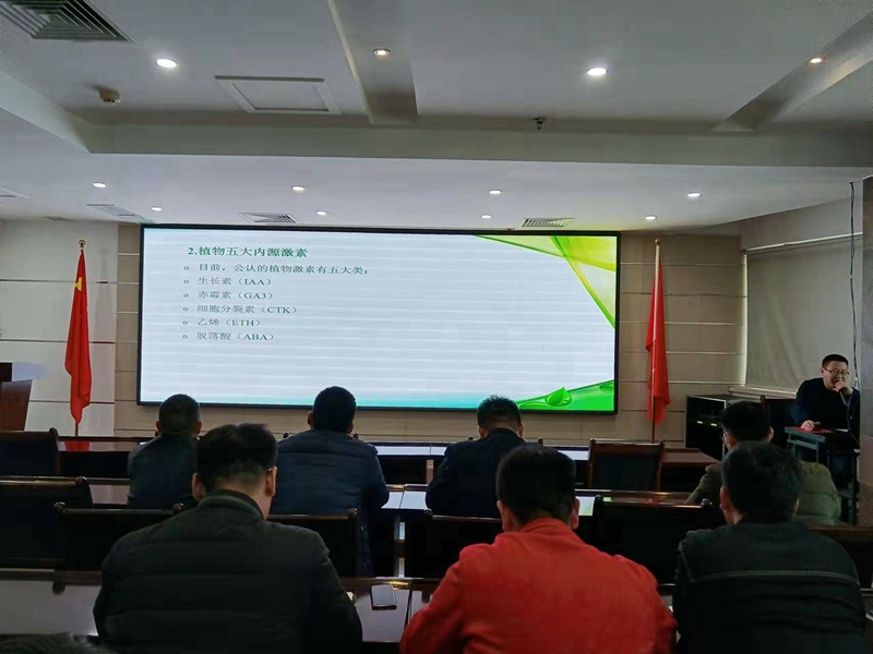 專精專注，進(jìn)而有為——農(nóng)達(dá)生化組織開展公司內(nèi)部植保技術(shù)培訓(xùn)會(huì)(圖3)