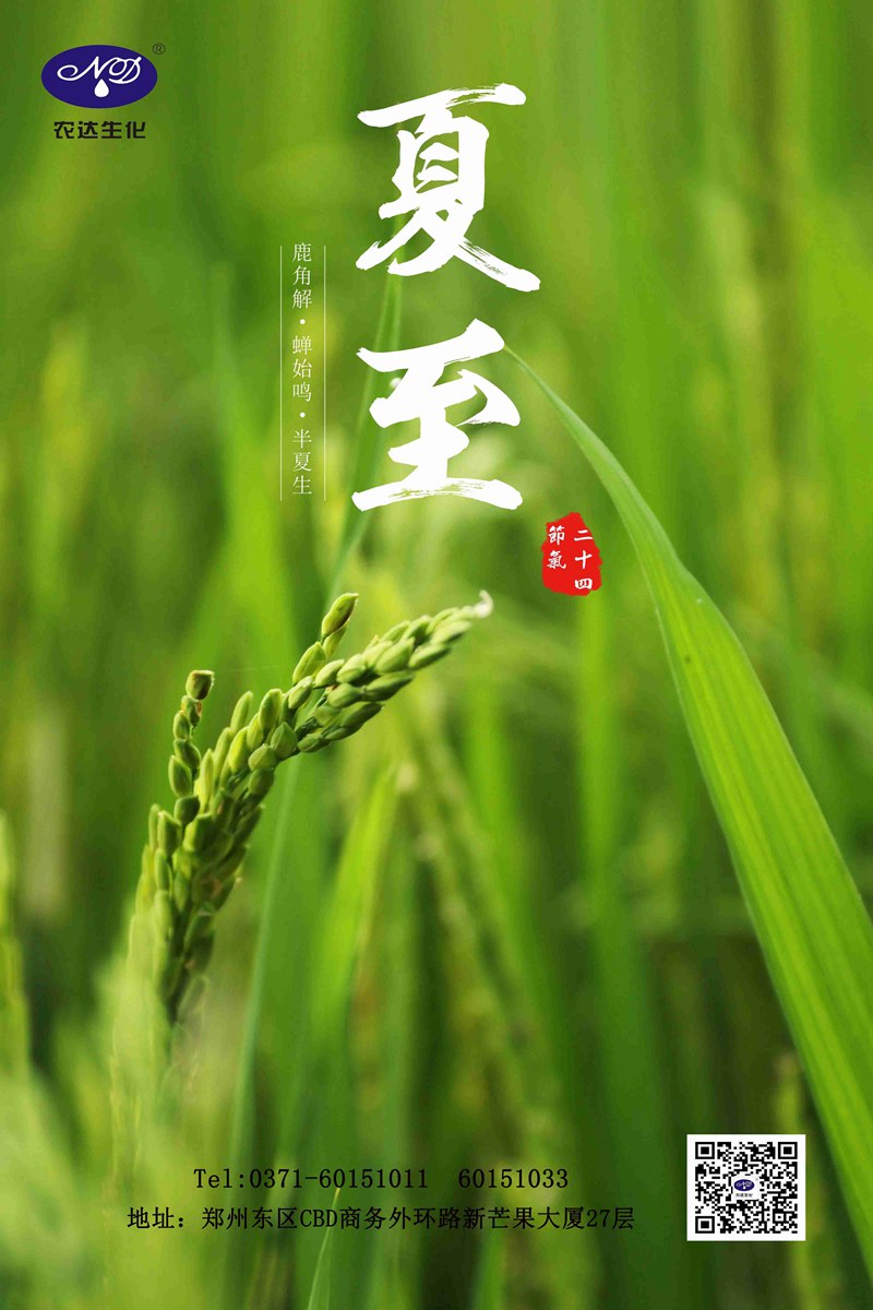 關(guān)注農(nóng)時(shí)——夏至(圖1)