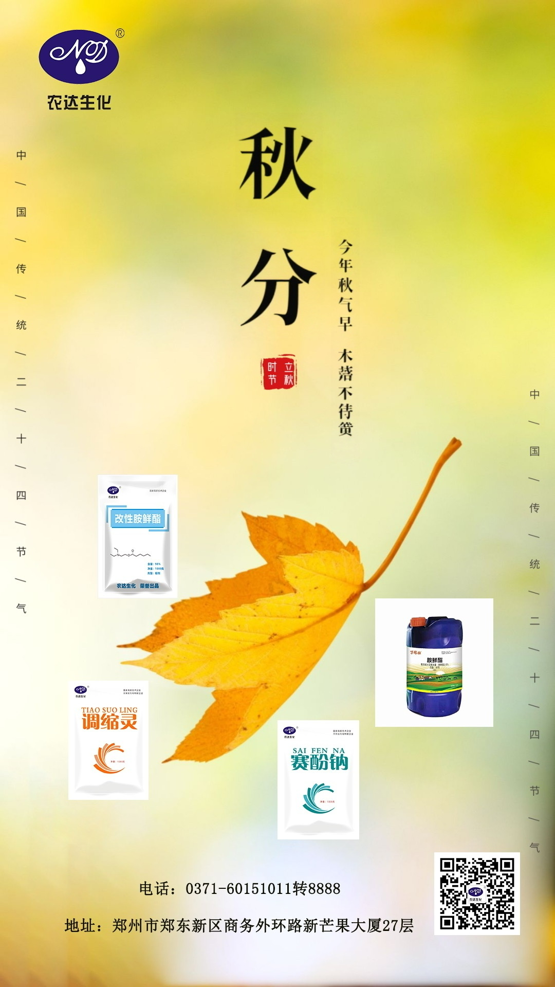 秋分(圖9)