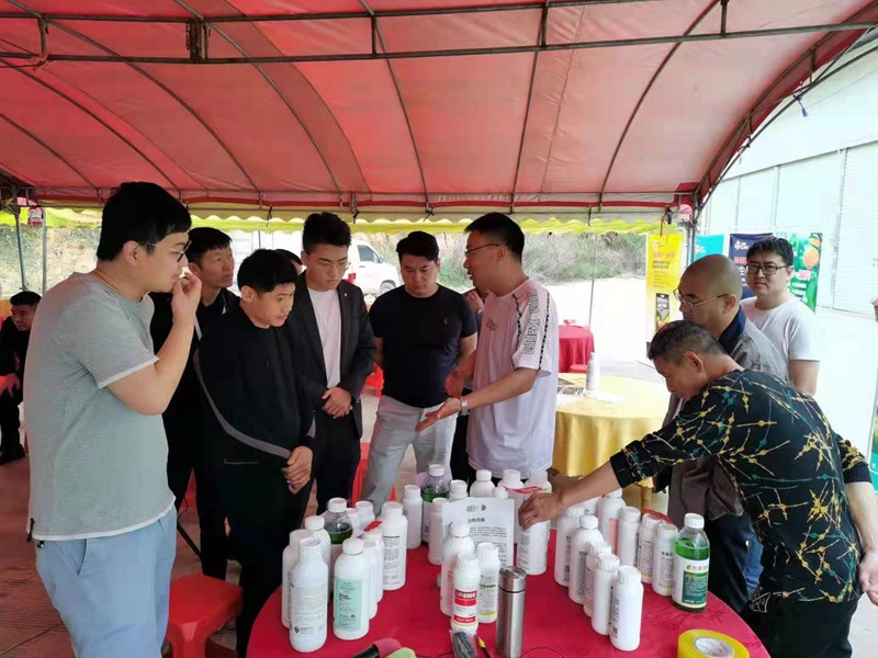 恭賀農(nóng)達(dá)生化廣西靚啟綠豐農(nóng)資公司產(chǎn)品直銷會(huì)勝利召開(kāi)(圖1)