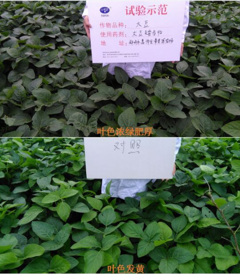 換個(gè)思路賣農(nóng)資，效果也不差！(圖1)