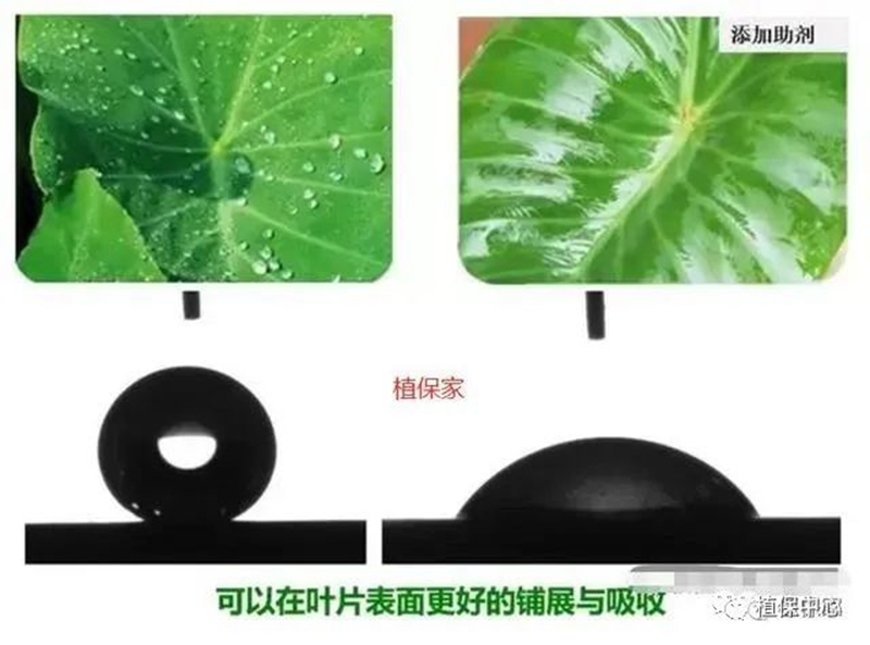 農(nóng)藥成分和含量一模一樣，為啥效果差別那么大？(圖2)